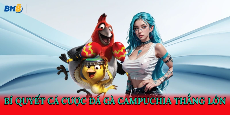 Đá gà Campuchia hiện nay là một trong những hình thức giải trí thu hút đông đảo người yêu thích cá cược. Tại BK8 người chơi không chỉ có cơ hội theo dõi những trận đấu gay cấn mà còn được trải nghiệm hệ thống cá cược chuyên nghiệp và đa dạng. Để hiểu rõ hơn về loại hình giải trí này, hãy cùng khám phá chi tiết qua bài viết dưới đây.Đá gà Campuchia là gì?
Là một môn thi đấu truyền thống, trong đó các chiến kê được huấn luyện kỹ lưỡng để tham gia vào những trận so tài quyết liệt. Đây không chỉ là một hoạt động giải trí phổ biến mà còn chứa đựng giá trị văn hóa sâu sắc đối với người dân Campuchia.
Môn thể thao này không đơn thuần chỉ mang tính cạnh tranh mà còn là dịp để cộng đồng tụ họp, trao đổi kinh nghiệm và thể hiện niềm tự hào về những chú gà chiến dũng mãnh. Một số giống gà nổi bật như gà Khmer, gà Kampot được biết đến với sức bền và khả năng chiến đấu kiên cường.
Những trận đá gà Campuchia thường diễn ra tại các trường gà lớn, nơi thu hút đông đảo khán giả đến xem và đặt cược. Mỗi cuộc đấu không chỉ thử thách sức mạnh của các chiến kê mà còn đòi hỏi người chơi phải am hiểu chiến thuật cũng như khả năng chịu đựng của từng con gà.
Đá gà Campuchia là gì?
Luật chơi trong bộ môn đá gà Campuchia chi tiết
Để có thể tận hưởng trọn vẹn trận chọi gà Campuchia, người chơi cần nắm vững các quy định và nguyên tắc cơ bản của môn thể thao này. Dưới đây là những thông tin chi tiết về luật lệ và quy tắc mà các kê thủ nên hiểu rõ:
Thời gian thi đấu
Mỗi trận đấu thường diễn ra trong tối đa 3 hiệp, với mỗi hiệp kéo dài khoảng 15 phút. Giữa các hiệp sẽ có khoảng nghỉ 5 phút nhằm chăm sóc chiến kê cũng như đánh giá tình hình trận đấu. Trận đấu có thể kết thúc sớm nếu một trong hai chiến kê bị hạ gục, không thể đứng dậy hoặc mất khả năng phản kháng. Khi đó, trọng tài sẽ công bố chiến thắng tuyệt đối cho con gà còn lại.
Các hình thức thi đấu phổ biến
Trong đá gà Campuchia, người chơi sẽ thường bắt gặp một số kiểu thi đấu sau:
Đá gà cựa dao: Chiến kê được trang bị lưỡi dao sắc bén gắn vào chân. Với sức sát thương lớn, những cú đòn từ cựa dao có thể nhanh chóng quyết định kết quả chỉ sau vài pha ra đòn.
Đá gà cựa sắt: Loại hình này sử dụng cựa làm từ kim loại, tuy không sắc bén như cựa dao nhưng vẫn đủ để tạo ra các vết thương nghiêm trọng. Do mức độ gây sát thương thấp hơn, thời gian thi đấu thường kéo dài hơn.
Đá gà không cựa: Trong hình thức này, chiến kê không mang bất kỳ loại cựa nào. Gà chọi phải dựa hoàn toàn vào sức mạnh tự nhiên và khả năng chịu đòn để giành chiến thắng. Kiểu thi đấu này đòi hỏi sự bền bỉ và sức khỏe tốt từ các chiến kê.
Luật chơi trong bộ môn chọi gà Campuchia chi tiết
Quy định xác định thắng thua rõ ràng
Kết quả trận đấu đá gà Campuchia được chia thành hai dạng: thắng tuyệt đối và thắng không tuyệt đối. Nếu một chiến kê hạ gục đối thủ khiến nó không thể tiếp tục thi đấu, kê đó sẽ được tính là thắng tuyệt đối. Trong trường hợp cả hai con gà vẫn còn sức sau 3 hiệp, trọng tài sẽ dựa vào số lần ra đòn cũng như khả năng kiểm soát thế trận của từng bên để đưa ra quyết định thắng không tuyệt đối.
Bí quyết cá cược đá gà Campuchia thắng lớn
Để tăng cơ hội thắng khi tham gia cá cược đá gà, người chơi không chỉ cần nắm vững luật chơi mà còn phải tích lũy những kinh nghiệm quý báu sau đây:
Chọn giống gà chiến chất lượng cao
Trong cá cược đá gà Campuchia, việc lựa chọn giống gà khỏe mạnh và ưu tú là yếu tố quyết định đến khả năng chiến thắng. Nên ưu tiên những chiến kê có sức bền tốt, tốc độ nhanh và phản xạ linh hoạt. Bên cạnh đó, việc kiểm tra kỹ tình trạng sức khỏe để đảm bảo không có chấn thương sẽ giúp duy trì phong độ thi đấu ổn định.
Phân tích phong cách thi đấu của chiến kê
Mỗi con gà chọi sở hữu một cách đánh riêng biệt, do đó người chơi cần quan sát kỹ lối đá để đưa ra nhận định chính xác. Ưu tiên chọn những chiến kê có khả năng tấn công liên tục, phòng thủ vững chắc và phản công linh hoạt. Tránh đặt cược vào các con dễ bị áp lực hoặc nhanh mệt khi bị dồn ép.
Bí quyết cá cược đá gà Campuchia thắng lớn
Theo dõi thành tích thi đấu trước đó
Trước khi quyết định đặt cược, người chơi nên cập nhật thông tin về các trận đấu sắp diễn ra. Các bảng thống kê cung cấp dữ liệu quan trọng như trọng lượng, nguồn gốc và kết quả thi đấu trong quá khứ của từng chiến kê. Việc thu thập và phân tích các thông tin này giúp đánh giá chính xác hơn về phong độ hiện tại của gà chọi.
Kết luận
Trên đây là những bí quyết cá cược đá gà Campuchia được BK8 tổng hợp và chia sẻ nhằm hỗ trợ người chơi nâng cao kiến thức và tận hưởng niềm đam mê cá cược một cách trọn vẹn. Hy vọng những thông tin này sẽ giúp bạn tự tin hơn khi tham gia đặt cược và đạt được kết quả tốt nhất.