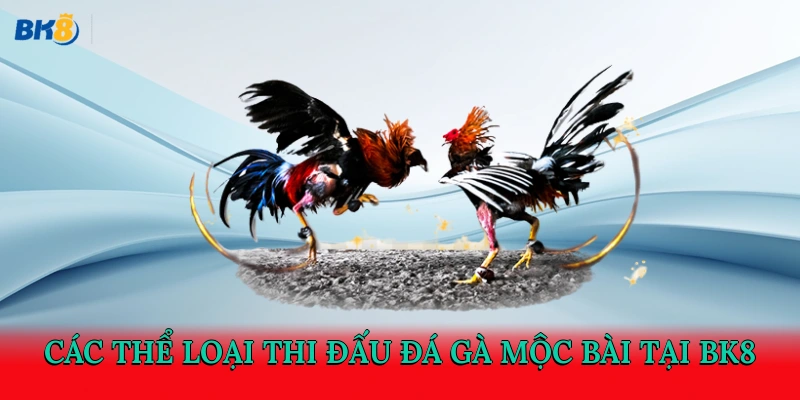 Các thể loại thi đấu Đá gà Mộc Bài tại BK8