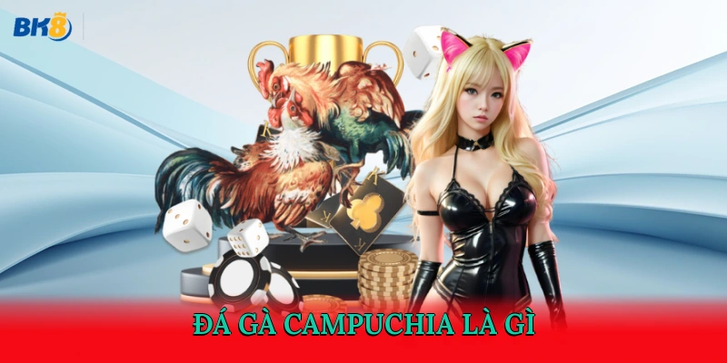 Đá gà Campuchia là gì?