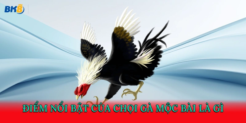 Điểm nổi bật của chọi gà Mộc Bài là gì?