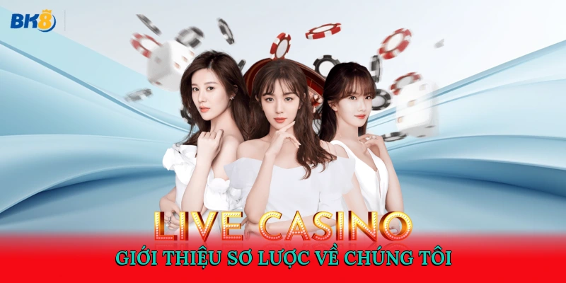 Giới thiệu sơ lược về chúng tôi