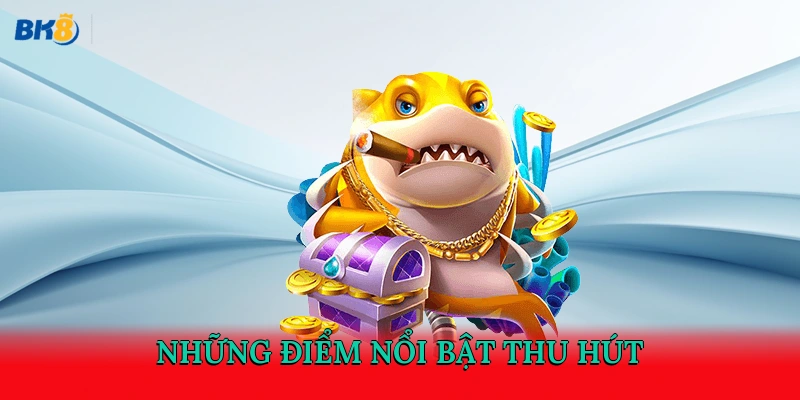 Những điểm nổi bật thu hút