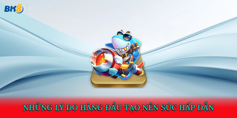 Những lý do hàng đầu tạo nên sức hấp dẫn