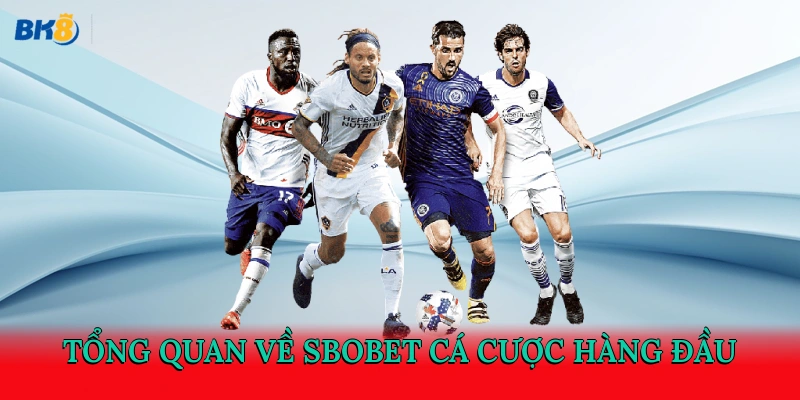 Tổng quan về Sbobet cá cược hàng đầu